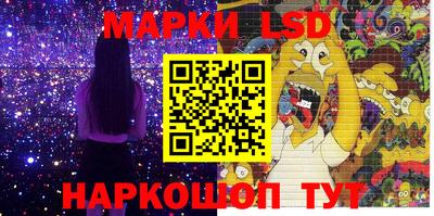 сатива Краснодар