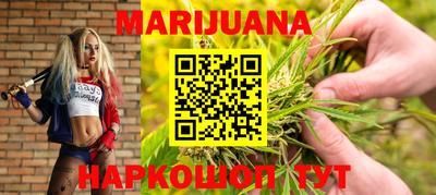 сатива Краснодар