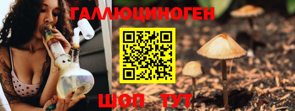 Красноармейск  Псилоцибиновые грибы Psilocybe  Вход с VPN  Галлюциногенные грибы GOLDEN TEACHER 
